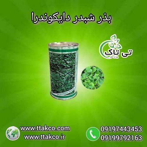 09197443453<br/>گروه بازرگانی تی تاک با افتخار بزرگ ترین وارد کننده و تولید کننده و ارائه دهنده انواع بذر چمن و شبدر خارجی و ایرانی در سراسر کشور <br/><br/>بذر چم industry agriculture agriculture