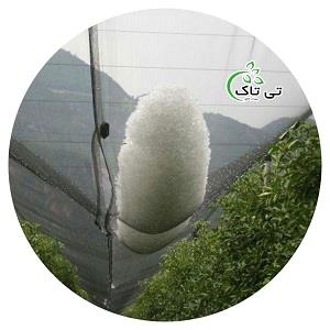 گروه صنعتی تی تاک<br/><br/>توری ضد تگرگ یک پوشش محافظتی برای انواع محصولات کشاورزی است. این توری به منظور جلوگیری از خسارات ناشی از تگرگ و دیگر شرایط جوی شدید industry agriculture agriculture