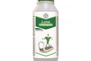 لونا لوسین یک سم سیستمیک نفوذی است که از طریق برگ ها پس از محلول پاشی وارد گیاه شده و در کل ساختار گیاه پخش می شود. این سم در پیشگیری و درمان طیف گستر industry agriculture agriculture