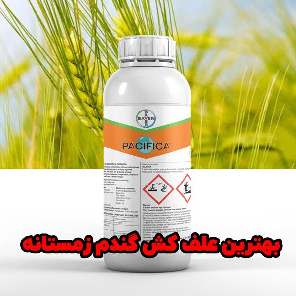 پسیفیکا یکی از علف‌کش‌های بهاره شرکت بایر است که برای کنترل علف‌های هرز در مزارع گندم زمستانه استفاده می‌شود. این محصول با فرمولاسیون پیشرفته خود، طیف industry agriculture agriculture