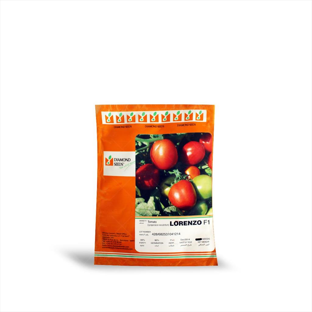 بذر گوجه فرنگی زودرس لورنزو اسپانیا<br/>بذر گوجه فرنگی زودرس لورنزو<br/>هیبرید، زودرس،پربار<br/>مناسب برای کشت فضای باز<br/>باردهی طولانی و توانایی تشکیل میوه در شرای industry agriculture agriculture