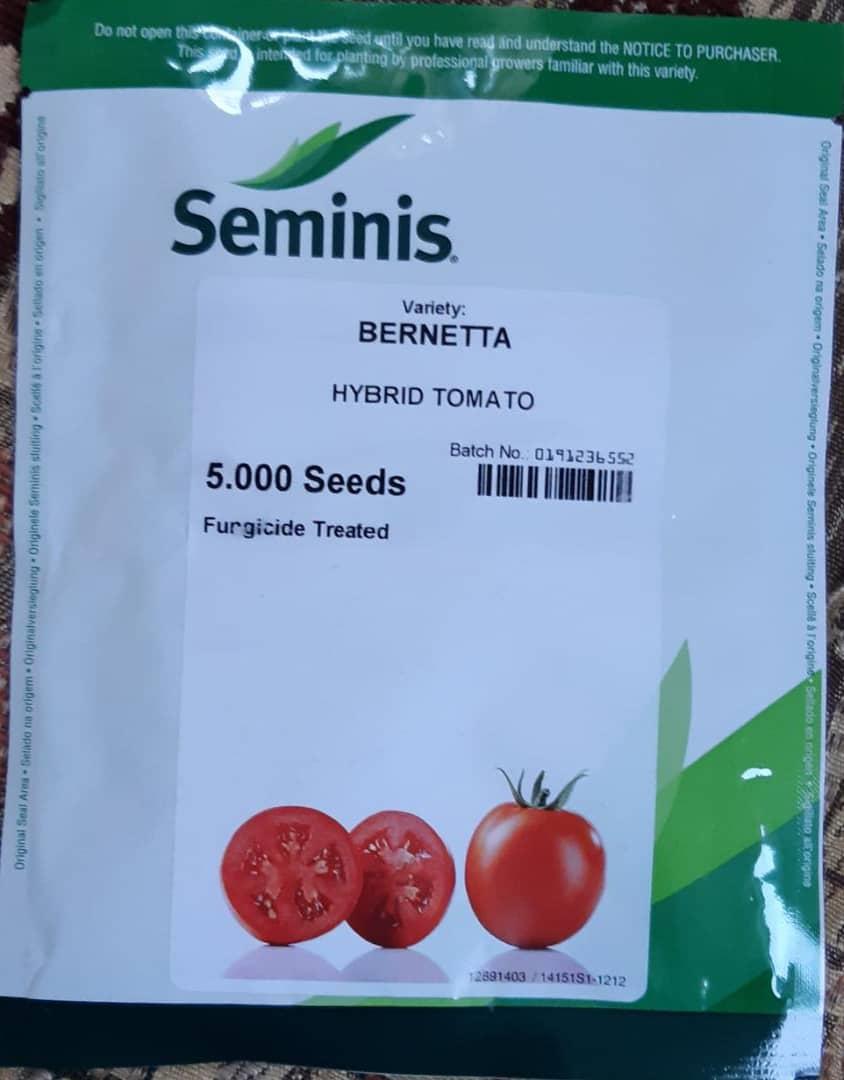 <br/>فروش بذره گوجه برنتا سمینیس<br/><br/>بذر گوجه فرنگی هیبرید برنتا<br/>دیف و حدود 2 متر بین ردیف<br/>مانند اکثر ارقام زودرس میزان عملکرد آن تا حدودی وابسته به میزان رش industry agriculture agriculture