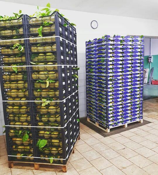 نبشی بسته بندی پلاستیکی _نبشی پلاستیکی کاشی _نبشی پلاستیکی بسته بندی بارهای صادراتی _نبشی پلاستیکی بنی بار های صادراتی<br/>نبشی پلاستیکی ,فروش نبشی پلاستی industry other-industries other-industries