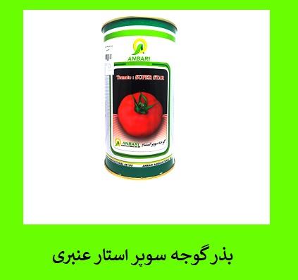 مشخصات بذر گوجه سوپر استار ANBARI :<br/><br/>بذر گوجه فرنگی اصلاح شده<br/>خلوص بالا 98%<br/>مقاومت بالا نسبت به گل پرانی در گرما<br/>مناسب مصارف صنعتی و تازه خوری<br/>مناسب ک industry agriculture agriculture