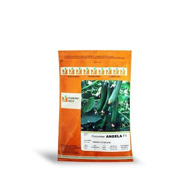 بذر خیار گلخانه ای پارتنوکارپ انجلا در پاکت های 1000 عددی با باردهی عالی و مقاوم در برابر شرایط نامساعد محیطی و تغییرات فصول موجود میباشد. بذر خیار گل industry agriculture agriculture
