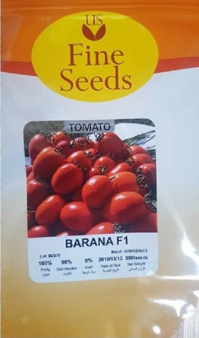 <br/>قیمت بذر گوجه بارانا<br/>بذر گوجه بارانا مخصوص کشت در فضای باز ومتعلق به شرکت یواس فاین آمریکا می باشد؛ و در حال حاضر در بسته بندی پاکتهای 5000 عددی در ب industry agriculture agriculture