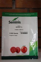 بذر گوجه فرنگی هیبرید برنتا سمینس<br/>bernetta hybrid tomato seminis<br/>رقم گوجه برنتا یکی از ارقام هیبرید بسیار پربار کشور است. به لحاظ بازارپسندی یکی از سه industry agriculture agriculture
