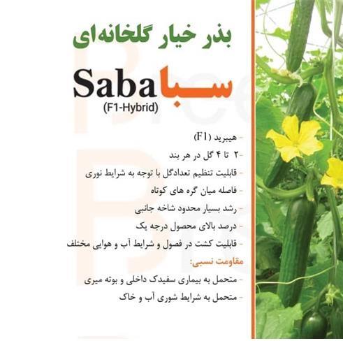 بذر خیار گلخانه ای سبا<br/><br/>خیار گلخانه ای سبا اولین بذر خیار هیبرید گلخانه ای تولید شده در ایران با کیفیت بسیار بالا در عملکرد و فرم میوه قابل عرضه می با industry agriculture agriculture