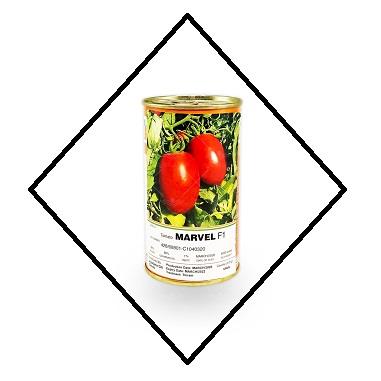 بذر گوجه فرنگی Marvel :<br/>بذر گوجه هیبرید F1<br/>مخصوص کشت در فضای باز<br/>بسته بندی : قوطی 5000 عددی<br/>کشور تولید کننده : اسپانیا<br/>شرکت تولید کننده : دایموند سیدز industry agriculture agriculture