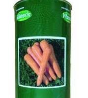 بذر هویج فورتو سمینیس یکی از نمونه های معروف بذر هویج نانتیس (مناسب برای کشت های زود هنگام در فضای باز و هم زیر تونل های پلاستیکی ) است.<br/>کیفیتی بسیار  industry agriculture agriculture