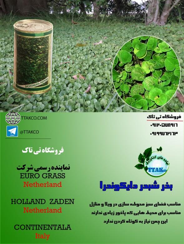 بذر چمن <br/><br/>گروه بازرگانی تی تاک وارد کننده انواع بذر چمن : <br/><br/>انواع بذر چمن و شبدر زینتی<br/><br/>بذر چمن سوپر اسپورت هلندی <br/>بذر چمن تاپ اسپورت <br/>بذر چمن گرین اس industry other-industries other-industries
