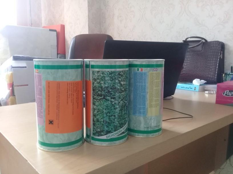 بذر چمن <br/>انواع بذر چمن و شبدر زینتی<br/>بذر چمن امریکایی<br/>بذر چمن افریقایی<br/>بذر چمن هلندی<br/>بذر شبدر دایکوندرا<br/>انواع چمن:چمن اسپرت،چمن لولیوم،تاپیتو،چمن سوپر  industry other-industries other-industries