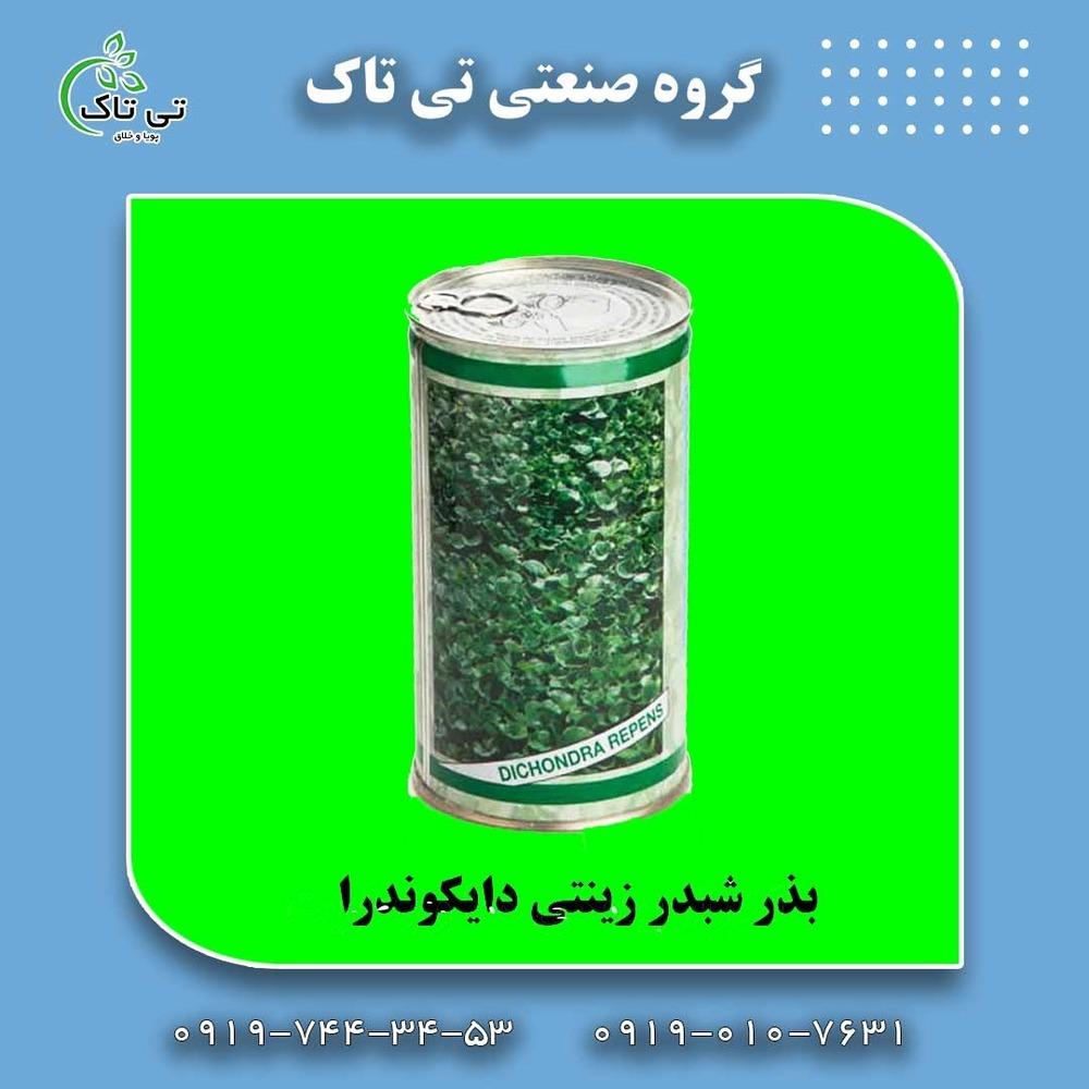 بذر شبدر زینتی دایکوندرا مناسب برای کشت در فضای سبز ، محوطه سازی در ویلا و منازل با پوشش سریع و همیشه سبز میباشد.<br/>مناسب برای محیط هایی که پاخور زیادی  industry other-industries other-industries