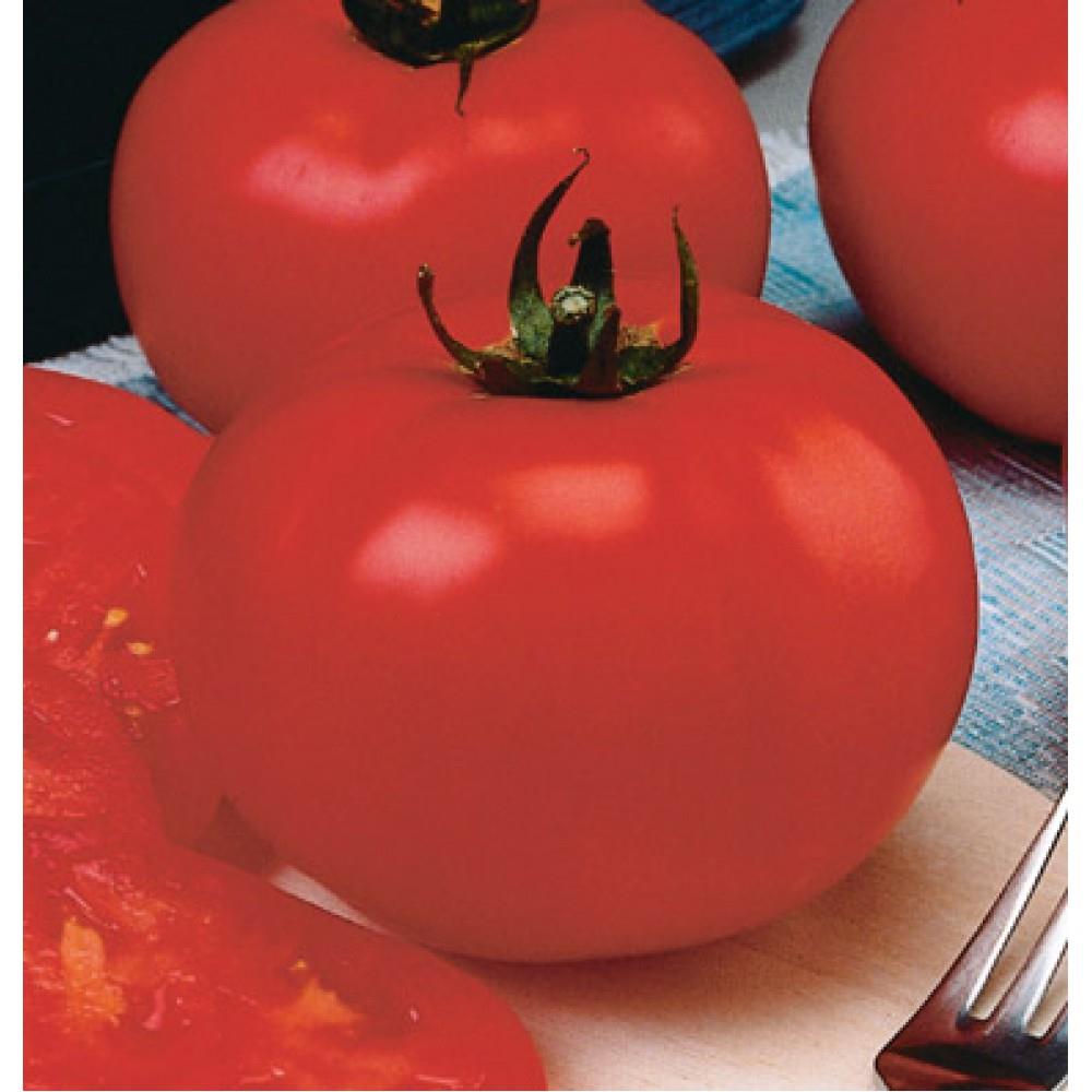 بیف استیک قرمز نوعی گوجه‌ فرنگی خوش‌ فرم و خوشمزه می‌باشد که نسبت به آفت‌ های رایج گوجه‌ فرنگی مقاوم می‌باشد و به راحتی رشد می کند.<br/>گیاهی علفی و یکسال industry agriculture agriculture