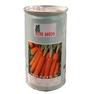 بذر هویج نانتس الیت محصولی از کشور هلند میباشد.دارای محصولی استوانه ای شکل، صاف و کشیده و دارای میوه هایی به سایز 18 تا 20 سانتی متر است.یکی از ارقام  industry agriculture agriculture
