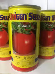 بذر گوجه فرنگی ریوگرند یونی ژن محصولی ایتالیایی رقمی استاندارد و میان رس متناسب کشت در فضای باز با میوه تخم مرغی شکل و سایز متوسط<br/><br/>برای سفارش با شماره industry agriculture agriculture