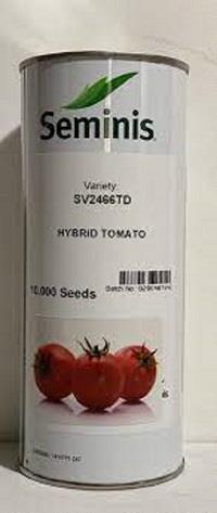 <br/>بذر گوجه فرنگی SV2466<br/><br/>بذر گوجه فرنگی SV2466  این واریته از جدیدترین واریته های تجاری شرکت سمینس می باشد.<br/>بذر گوجه فرنگی بوته هیبرید F1 در نقاط معتدل industry agriculture agriculture