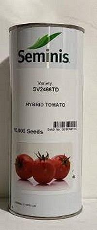 بذر گوجه 2466 sv سیمنیس<br/><br/>بذر گوجه فرنگی 2466 رقمی زودرس و با عملکرد بالا (برداشت حدود 180 تن در هکتار) محصول شرکت سمینیس آمریکا می‌باشد. این محصول بوت industry agriculture agriculture