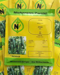 بذر خیار نیکرسون 485 مناسب برای برداشت در پاییز و زمستان است. بذر خیار نیکرسون 485 مقاومت بسیار خوبی نسبت به سرما دارد و بوته ای بسیار قوی با ساقه ضخی industry agriculture agriculture