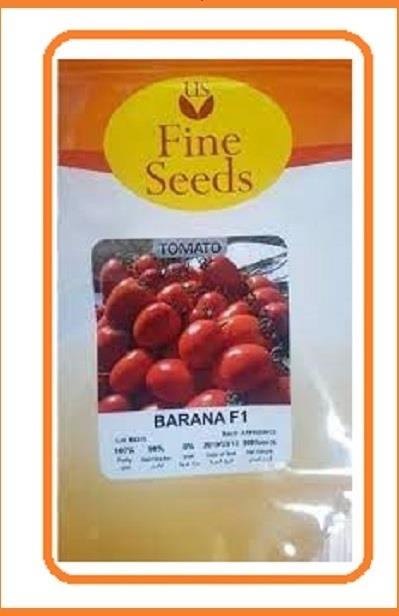 فروش بذر گوجه بارانا<br/><br/>  از مهمترین خصوصیات رقم گوجه بارانا می توان به تحمل مناسب رقم به شوری خاک و آب اشاره نمود. این ویژگی خصوصا در مناطق جنوبی کشور  industry agriculture agriculture