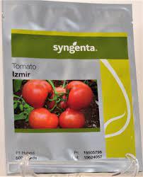 بذر گوجه فرنگی گلخانه ای ازمیر رقمی صادراتی مناسب برای کاشت داربستی در فصل پاییز و زمستان مناسب جهت کشت در گلخانه و فضای باز محصول شرکت سینجنتا سوئیس  industry agriculture agriculture