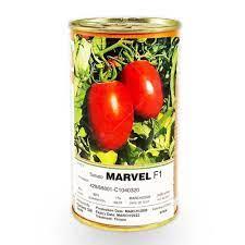 بذر گوجه مارول Marvel F1 قالبی تخم مرغی و سایز میوه متوسط دارد. 90 روز بعد از انتقال نشا به زمین اصلی بار می‌دهد و از مقاومت نسبی خوبی به بیماری‌ها و  industry agriculture agriculture