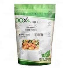 بذر گوجه فرنگی زودرس نورمن محصول کشور شیلی، محصولی بلوکی شکل و مقاوم به بیماری های قارچی<br/>نوع رقم بذر : هیبرید و اف یک<br/>مقدار و محتوی هر بسته : 1000 عدد industry agriculture agriculture