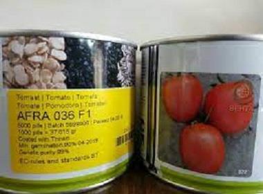 بذر گوجه فرنگی هیبرید افرا تولید شرکت انزازادن هلند رقمی بسیار زودرس و مناسب کشت در فضای باز است. شکل محصول بلوکی است و وزن آن بین 130-140 گرم است باز industry agriculture agriculture