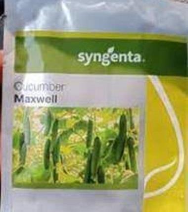 بذر خیار مکسول Maxwell F1 یک واریته گلخانه ای تک گل با دوره رسیدگی کوتاه است که مناسب کشت پاییزه مناطق مختلف می‌باشد. این رقم میوه‌ای بازارپسند به طول industry agriculture agriculture