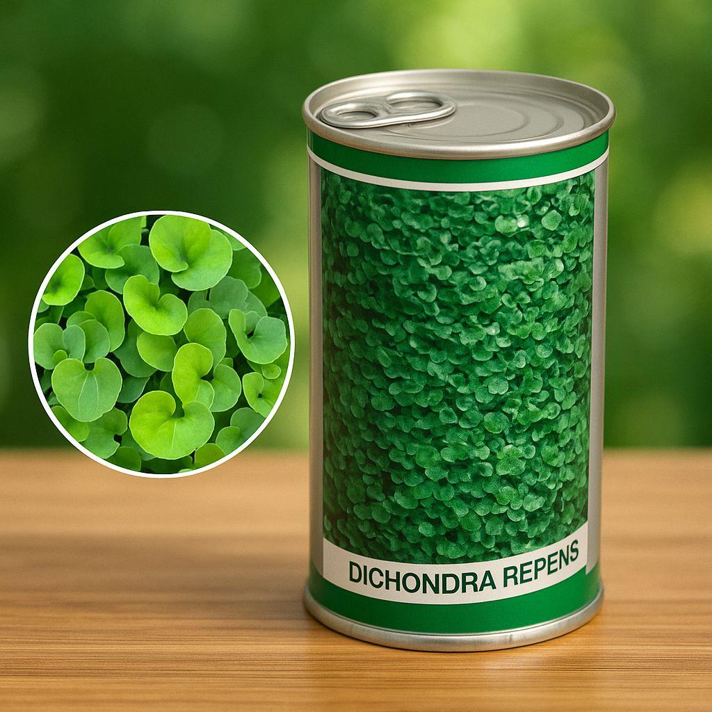 خرید و قیمت بذر شبدر زینتی دایکوندرا<br/>09197443453<br/>_مشخصات بذر چمن دایکوندرا ( شبدر زینتی )<br/>*وزن : 1 kg<br/>*نوع خرید : کوچک, کیلویی<br/>*بستر کاشت : خاک سبک و  industry packaging-printing-advertising packaging-printing-advertising