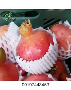 فوم توری بسته بندی میوه و محصولات صادراتی <br/><br/>فوم توری جهت بسته بندی میوه و محصولات صادراتی <br/><br/><br/>✅فوم توری برش خورده ( بسته های ۷ کیلویی ، برش های ۸ الی ۱ industry other-industries other-industries