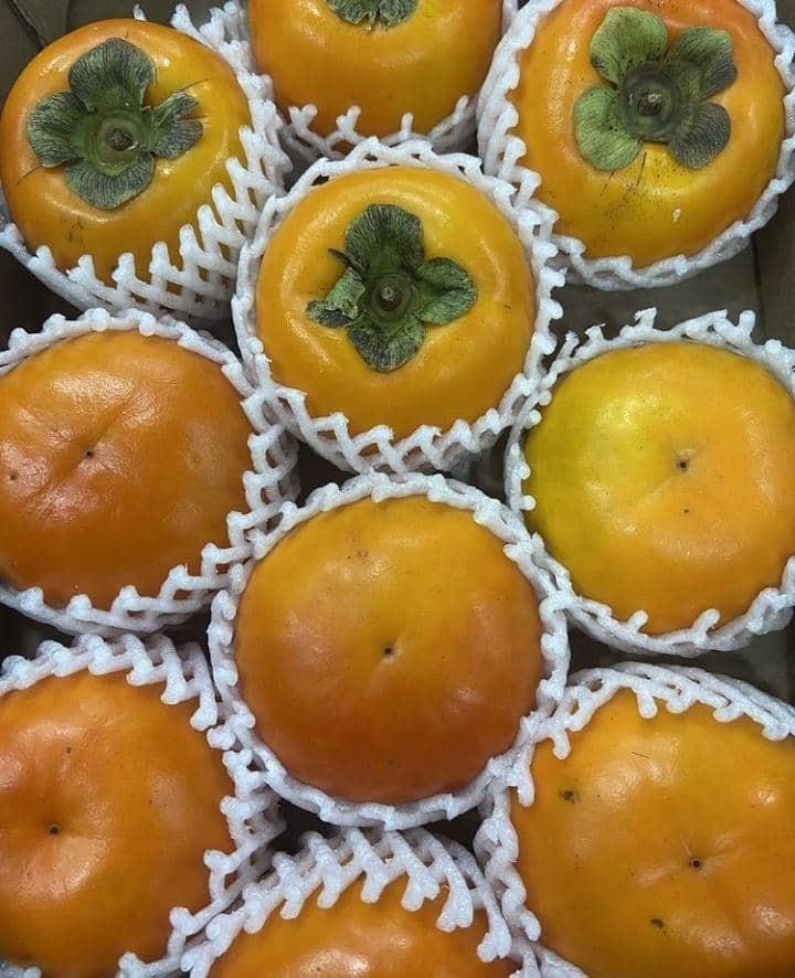 فوم توری میوه<br/><br/>فوم توری بسته بندی-سینی فومی میوه-فوم بسته بندی میوه<br/>تولید کننده فوم توری بابهترین کیفیت ارسال ازکارخانه پلی اتیلن غرب تبریز<br/>فوم توری ب industry other-industries other-industries