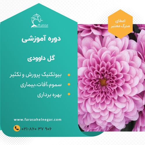 <br/><br/>آموزش کاربردی همراه با پشتیبانی و مدرک معتبر<br/><br/>پرورش اقتصادی گل داوودی شامل انتخاب ارقام مناسب، تکثیر از طریق قلمه زنی با دقت، انتخاب بستر مناسب (مان services educational educational