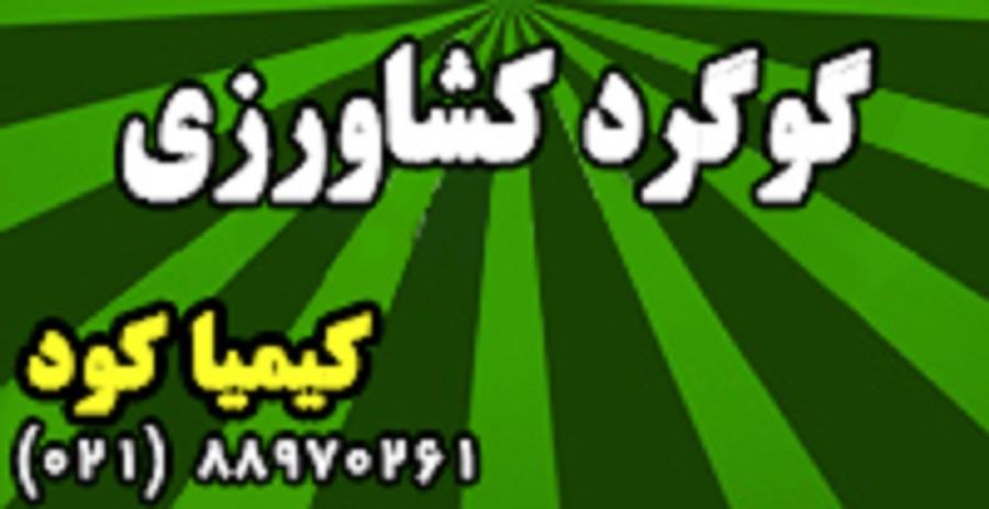 در گیاهان کمبود گوگرد به صورت رنگ پریدگی و زردی در برگهای جوان و قسمتهای انتهایی گیاه ظاهر می گردد. کمبود گوگرد آثار مهمی در کاهش رشد گیاه داشته ، ساق industry agriculture agriculture
