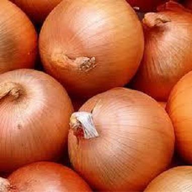 شکل میوه: کروی با لایه های مقاوم و تک غده ای<br/>رنگ میوه: سفید با رگه های سبز<br/>میزان برداشت: 70 تا 110 تن در هکتار<br/>میزان سازگاری: بسیارسازگاربا اقلیم ایرا industry agriculture agriculture