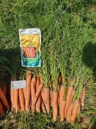 بذر هویج هیبرید نارین دارا یکی از بذر های کشاورزی می باشد که به بهترین شکل می توان از آن برای کشت هویج استفاده کرد.<br/><br/> <br/>جهت استعلام و سفارش محصول خود ب industry agriculture agriculture