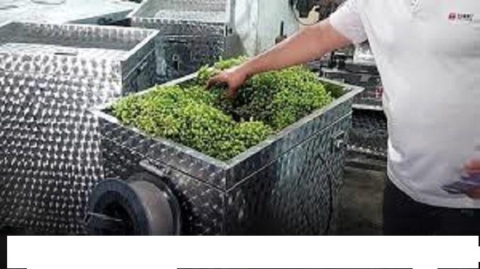 آبغوره گیری یا دستگاه آبگیری چندکاره<br/>جنس آبغوره گیری و آبمیوه گیرو آبلیموگیری صنعتی 1000 کیلو از نوع استنلس استیل می باشد، البته می توان به جای استیل  industry industrial-machinery industrial-machinery