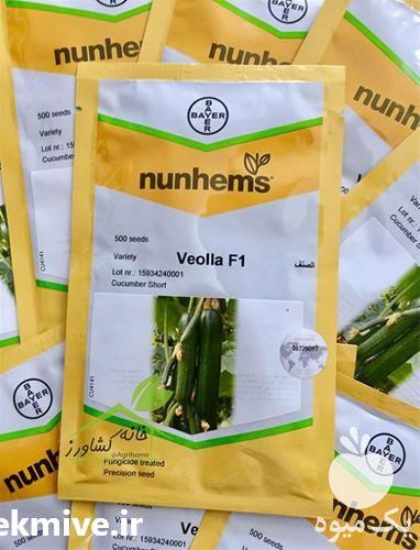 بذر خیار ویولا دارای بوته ای نسبتا قوی با رشد رویشی متعادل می باشد.<br/>بذر خیار گلخانه ای ویولا تولید شرکت نانهم میباشد که در بسته بدی های ۵۰۰ عددی در با industry agriculture agriculture