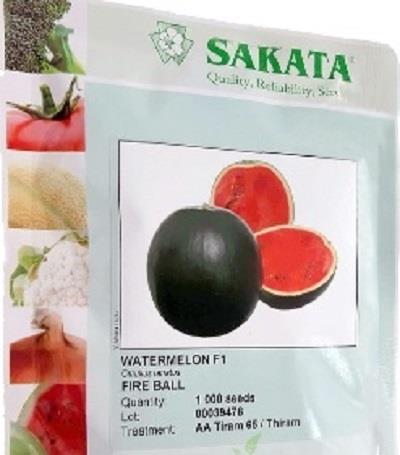 بذر هندوانه شوگر بیبی فایربال از شرکت ساکاتا ژاپن، با بوته قوی و محصول میان‌رس می‌باشد. تیپ این میوه گرد به وزن 6 تا 9 کیلوگرم با گوشت سفت و قرمز رنگ  industry agriculture agriculture