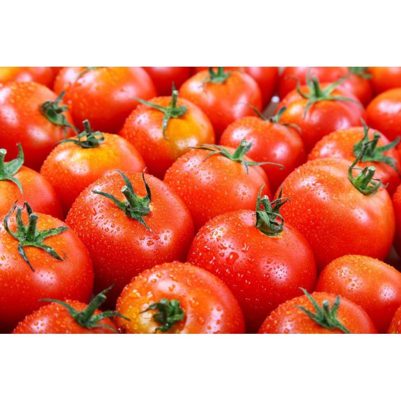 بذر گوجه فرنگی CLX38122<br/>بذر گوجه فرنگی CLX38122 از ارقام میان رس محسوب شده  و در دسته ارقام هیبرید گوجه فرنگی طبقه بندی می گردد.<br/>یکی از دلایلی که بازا industry agriculture agriculture
