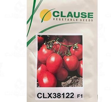 بذر گوجه فرنگی CLX38122 از ارقام میان رس محسوب شده  و در دسته ارقام هیبرید گوجه فرنگی طبقه بندی می گردد.<br/>یکی از دلایلی که بازارپسندی بذر گوجه فضای باز industry agriculture agriculture