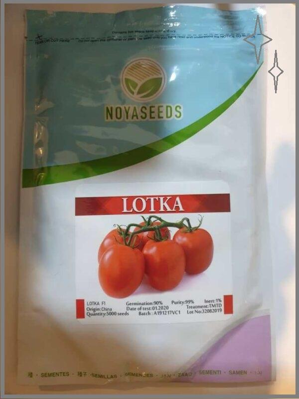 خصوصیات بذر گوجه LOTKA :<br/><br/>بذر میان رس . بوته بسیار قوی با پوشش برگی بسیار مناسب<br/>شکل میوه بلوکی با کاسبرگ و سفتی بسیار بالا و رنگ قرمز شفاف<br/>مقاوم به قا industry agriculture agriculture