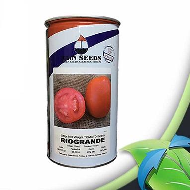 بذر گوجه ریوگرند رین محصولی از کمپانی رین سید هلند بوده در قوطی های ۵۰۰ گرمی به بازار عرضه می شود. گوجه ریوگرند رین جزء ارقام استاندارد محسوب شده و من industry agriculture agriculture