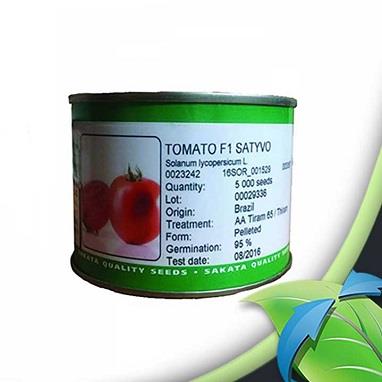 بذر گوجه فرنگی ساتیو به دلیل دارا بودن ویژگی درصد بالای جوانه زنی به نسبت بذرهای کاشته شده به عنوان یکی از بذور مناسب برای کاشت توسط کشاورزان است؛ زیر industry agriculture agriculture