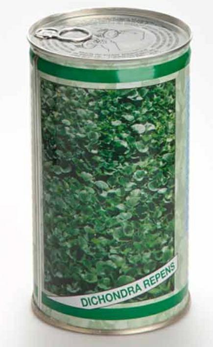 بذر شبدر زینتی دایکوندرا <br/><br/>گروه صنعتی تجاری تی تاک : <br/>توزیع بذر شبدر زینتی دایکوندرا<br/><br/>مشخصات بذر چمن شبدر دایکوندرا: <br/><br/>  - مناسب برای کشت در فضای سبز  industry industrial-machinery industrial-machinery