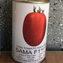 بذر گوجه سما یکی دیگر از بذر های گوجه است که قابل کشت در فضای باز است. این بذر گوجه فرنگی رقمی متوسط رس است که میوه های آن دارای متوسط وزن ۱۶۰ تا ۱۸۰  industry agriculture agriculture