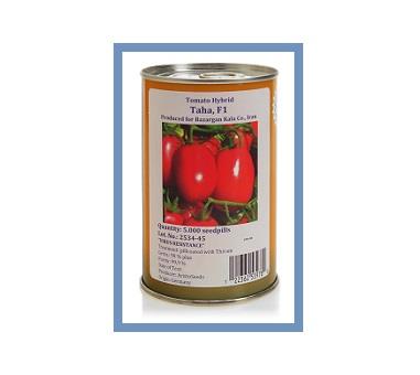ویژگی های بذر گوجه طاها :<br/><br/>مناسب برای کشت در شرایط فضای باز<br/>مناسب کشت های پاییزه و بهاره<br/>دارای رنگ پذیری مناسب و زودرس<br/>قرمز رنگ و براق<br/>3-5 میوه در هر  industry agriculture agriculture
