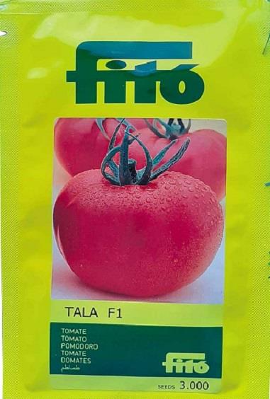فروش بذر گوجه فرنگی طلا فیتو<br/><br/>بذر گوجه TALA F1 یکی از واریته‌های بذر گوجه با قالب گرد و سایز میوه نسبتا درشت است. این بذر درست مانند بسیاری از بذرهای  industry agriculture agriculture