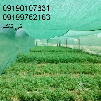 توری شید، توری سایه  انداز 09190107631<br/><br/>-انواع توری شید از لحاظ رنگ و در صد سایه اندازی:<br/>*شید سایبان ۳۰ درصد<br/>*شید سایبان سبز رنگ با ۵۰ درصد سایه انداز industry agriculture agriculture